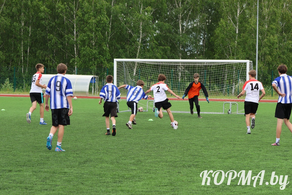 6a3d164f9870f_0V3A7698.JPG