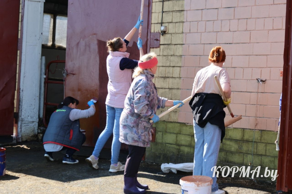 6a081dc62f2a8_photo_2026-05-16_10-12-18.jpg