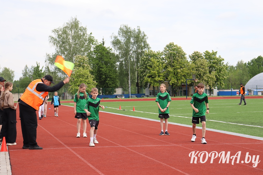 6a05b5d5609ff_IMG_4423.JPG