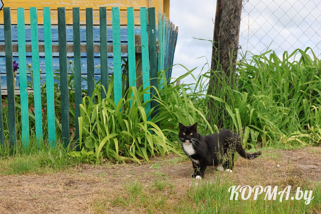 6a198e3891cc8_0V3A7219.JPG