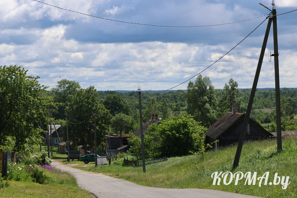6a198e3a04817_0V3A7321.JPG