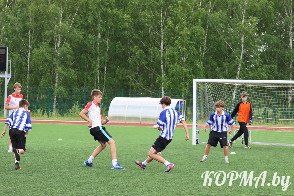 6a3d164fdae27_0V3A7701.JPG