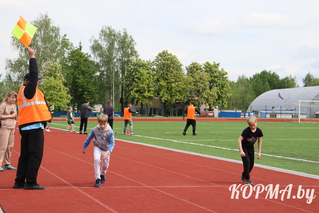 6a05b5d565a72_IMG_4445.JPG