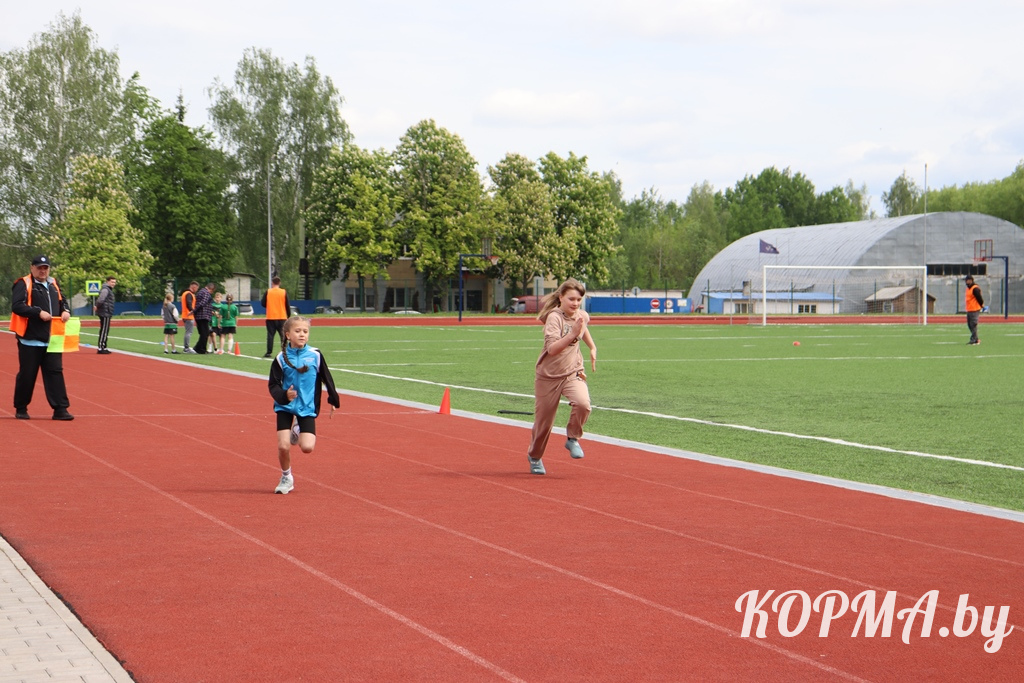 6a05b5d58e8d5_IMG_4449.JPG