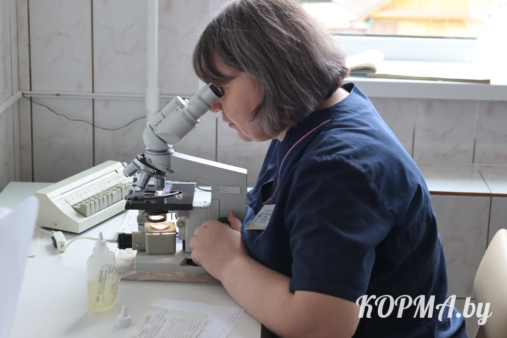 Елена ЛОПУХОВА Елена ЛОПУХОВА