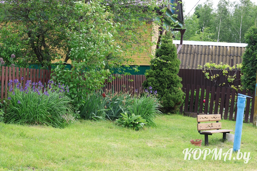 6a198e392012f_0V3A7204.JPG
