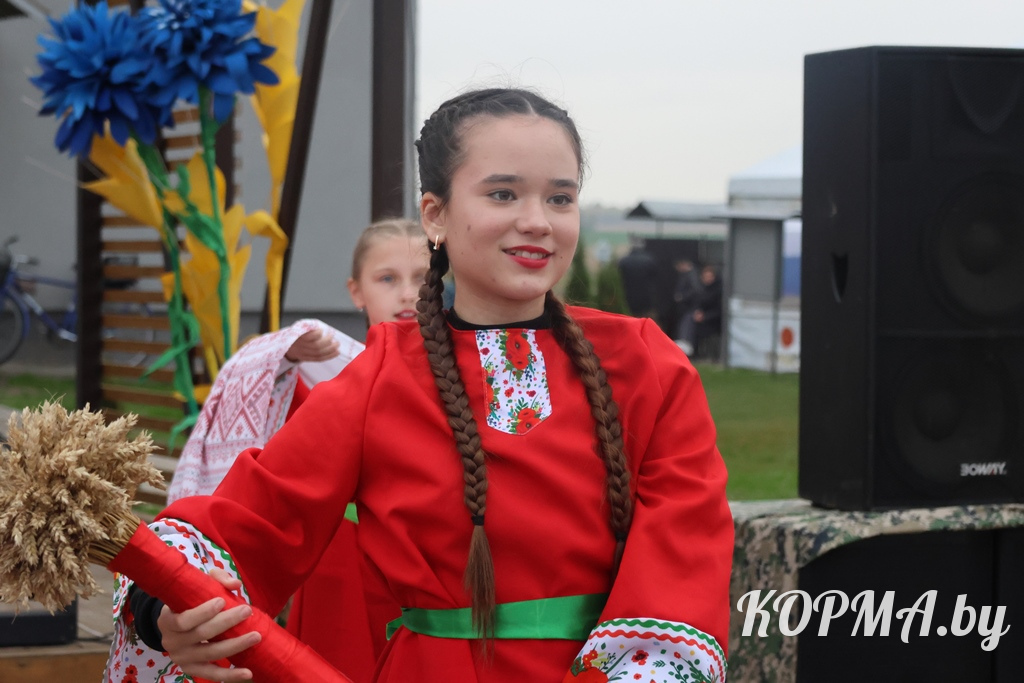 6ad3948b400e0_0V3A6990.JPG